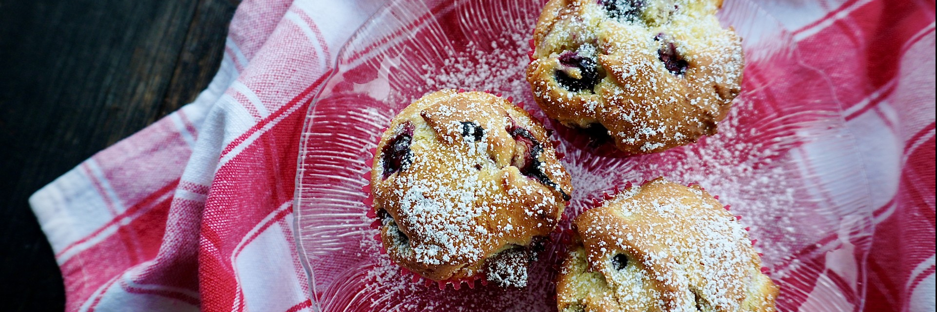 Blueberry Muffin