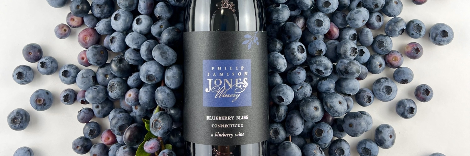 Blueberry Bliss