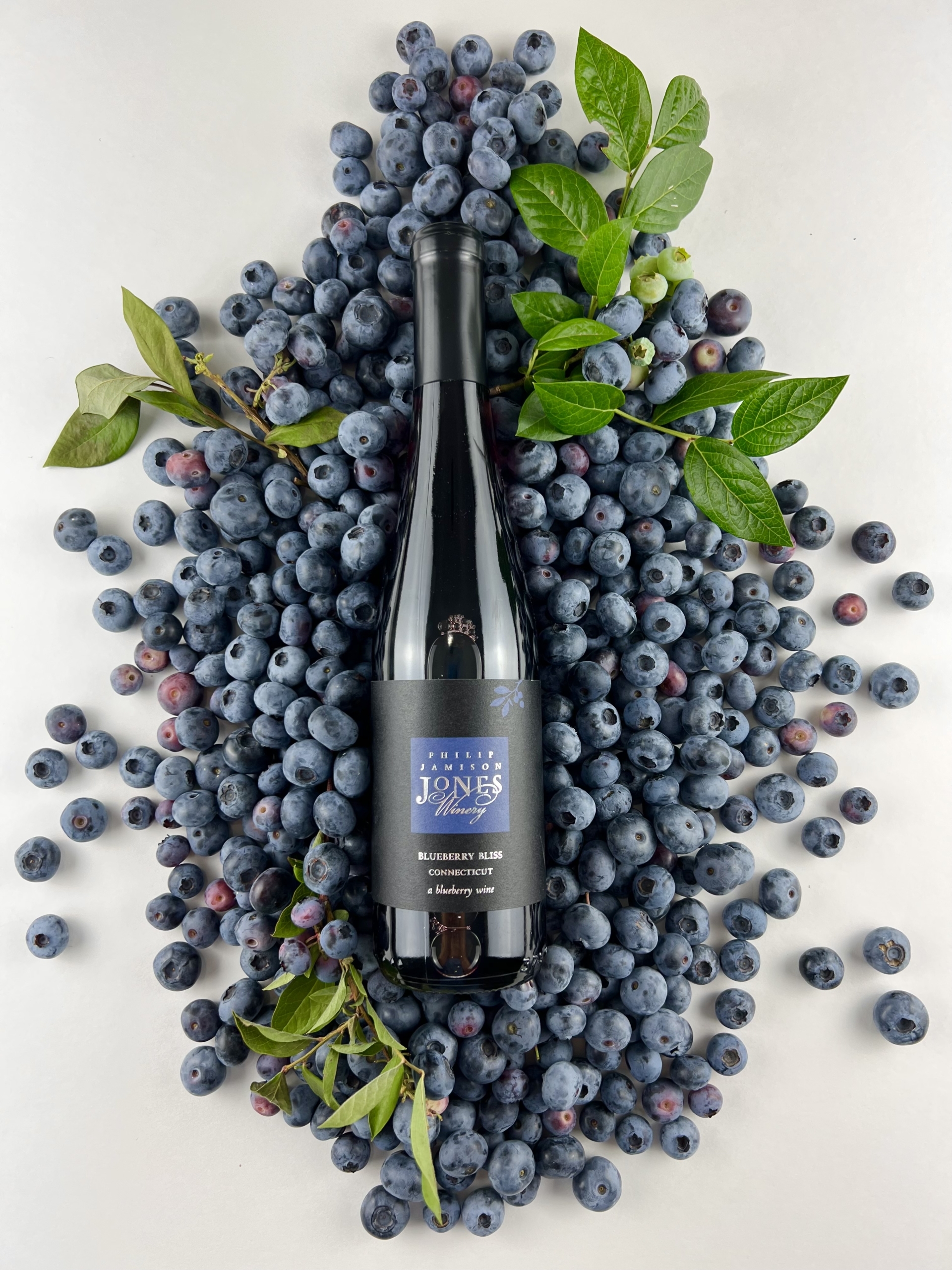 Blueberry Bliss