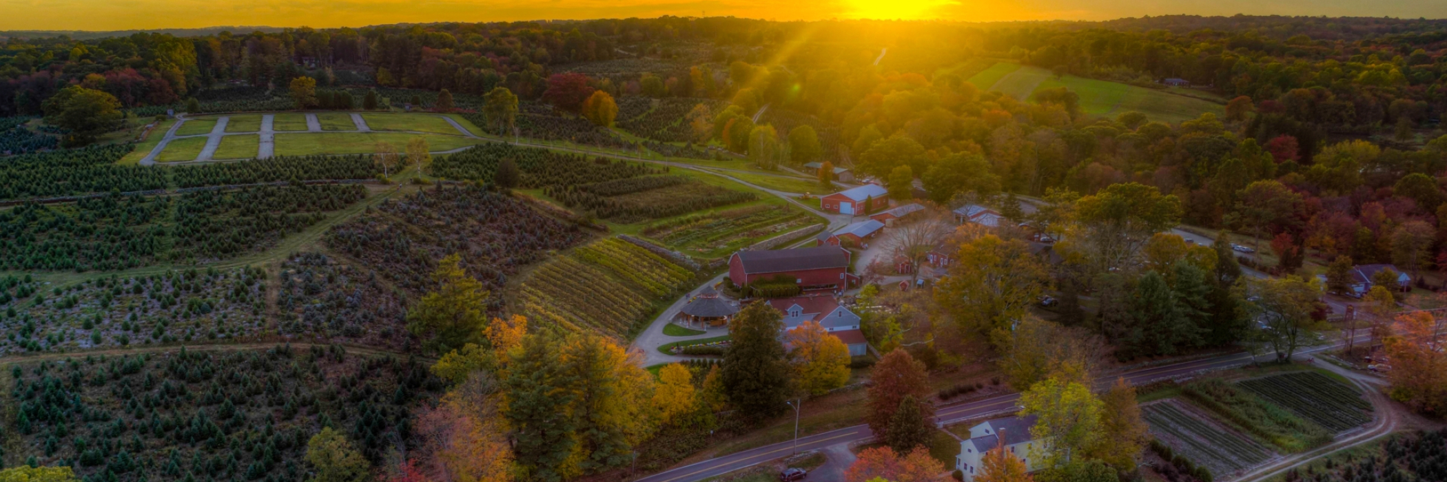 Fall drone over Jones winery at sunset
