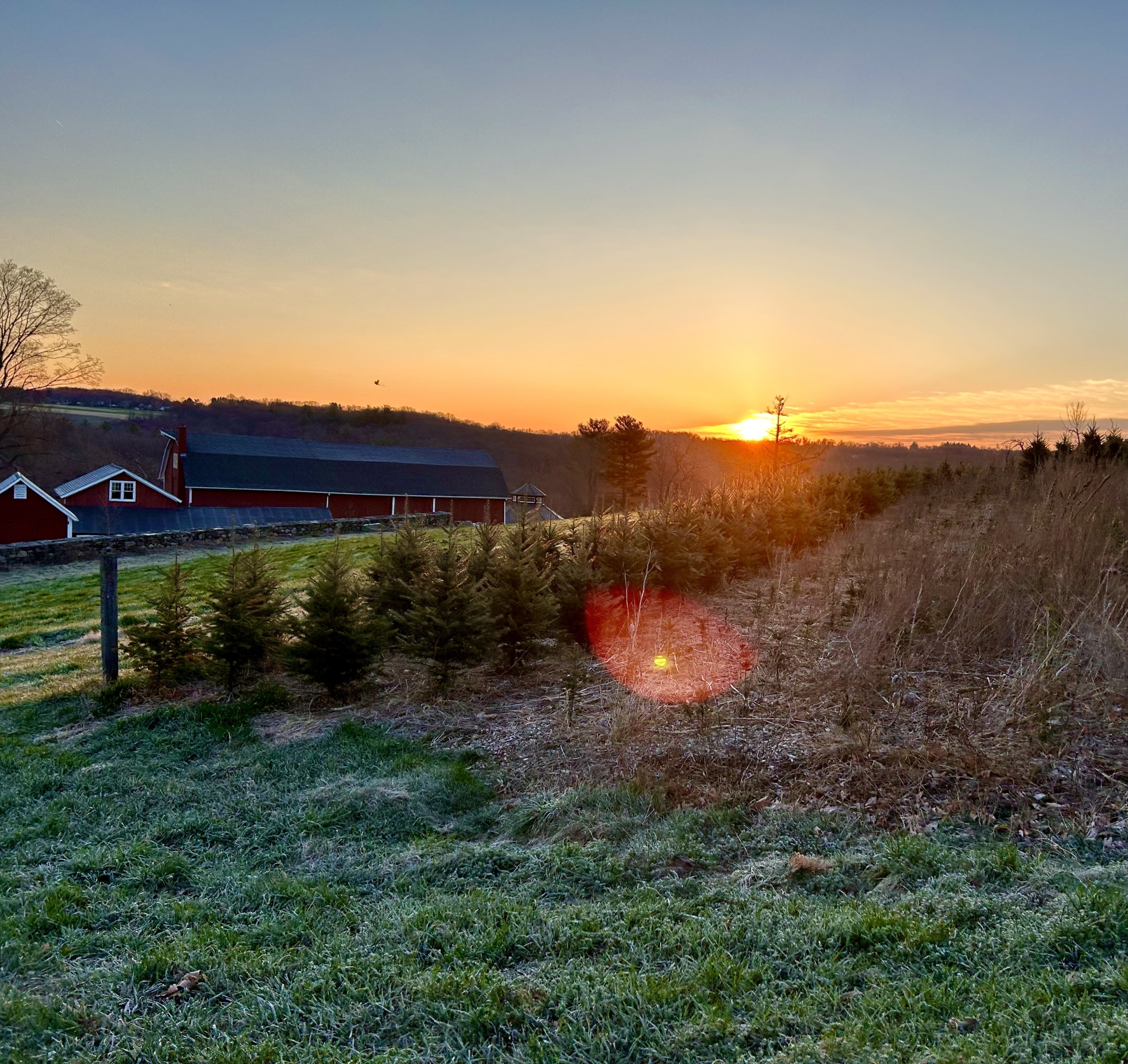 Sunrise at the Farm