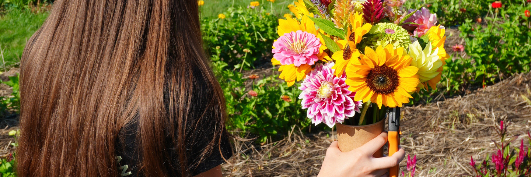 Juliet Harvesting Flowers