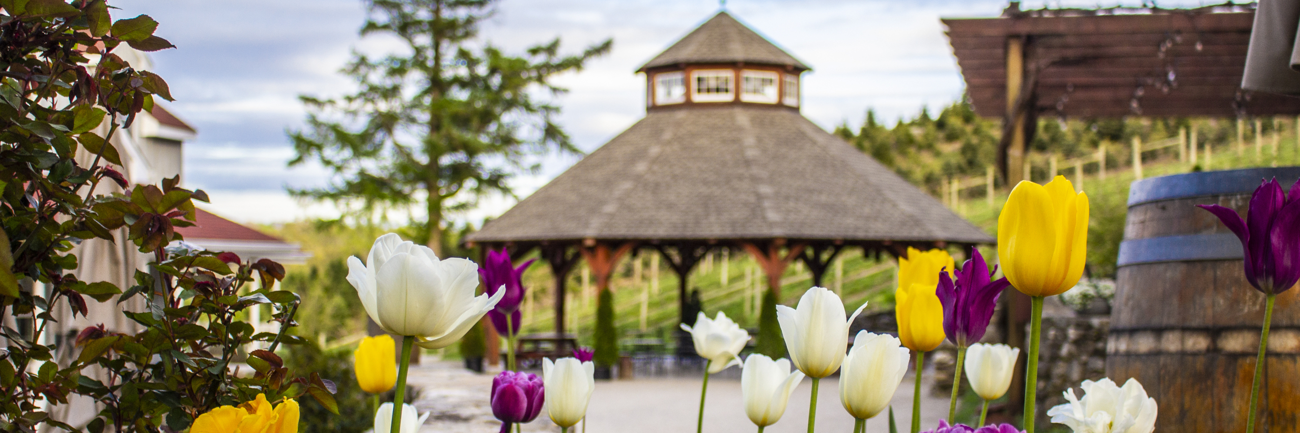Flowers In Front of the Gazebo