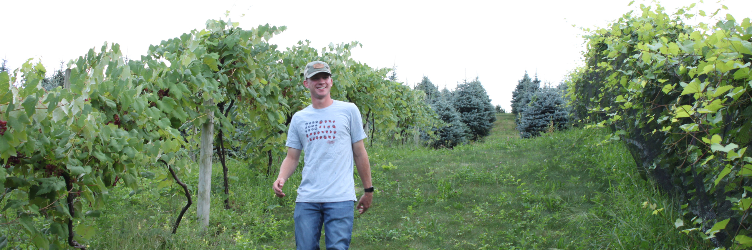 Walking in Educational Vineyard