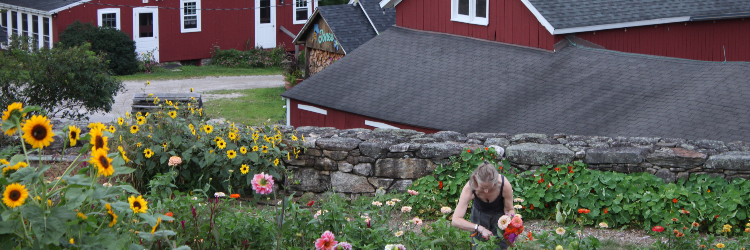 Flower Field Overlooking Homestead