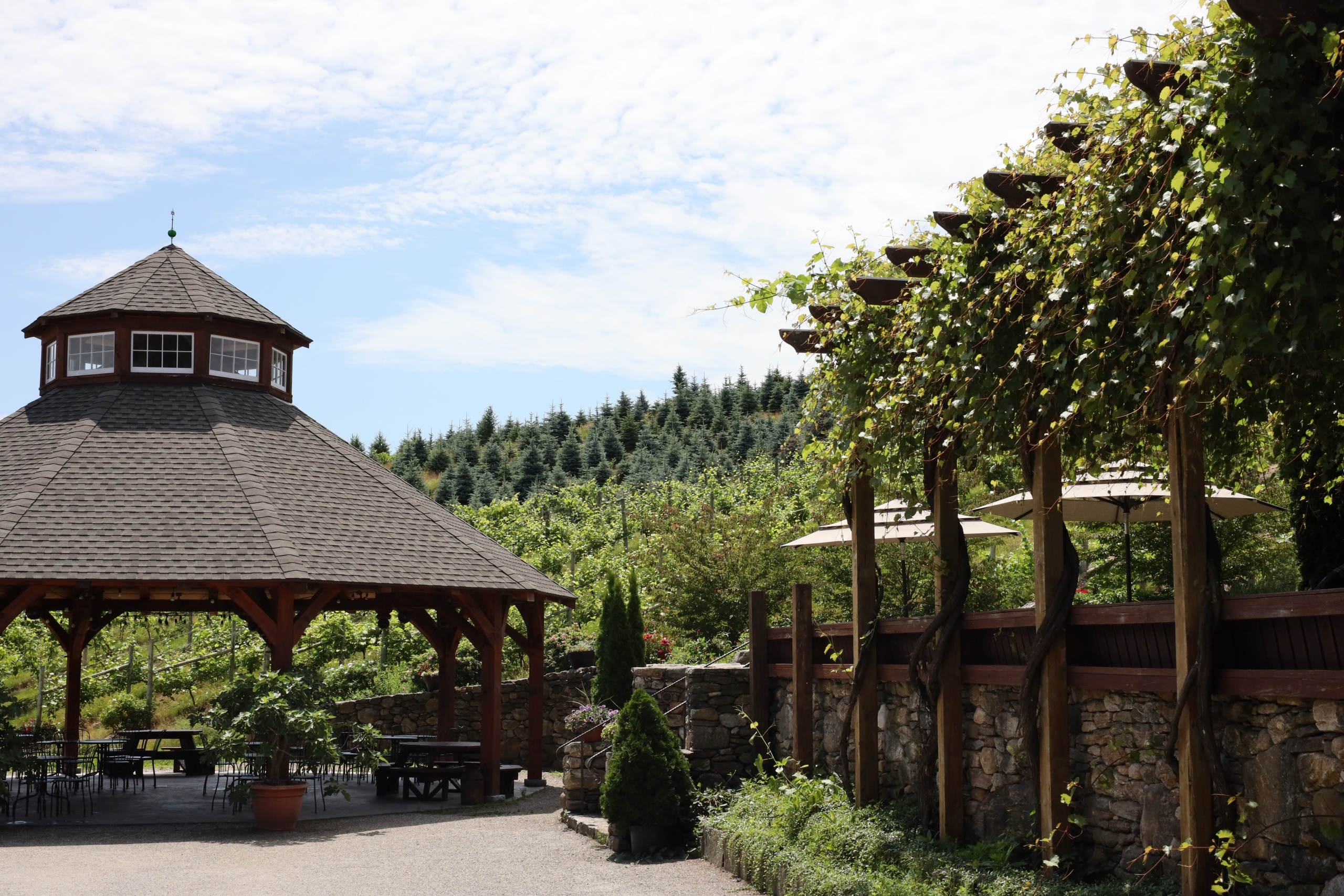 Outdoor winery seating and pavilion