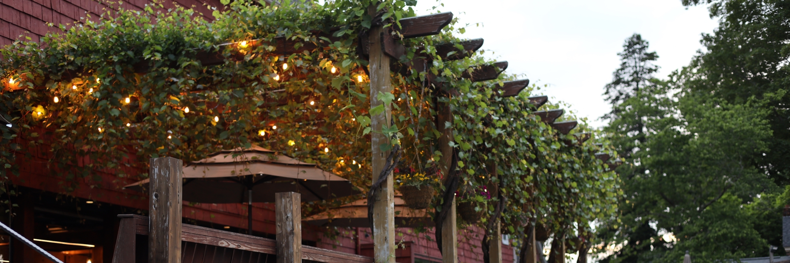 winery arbor