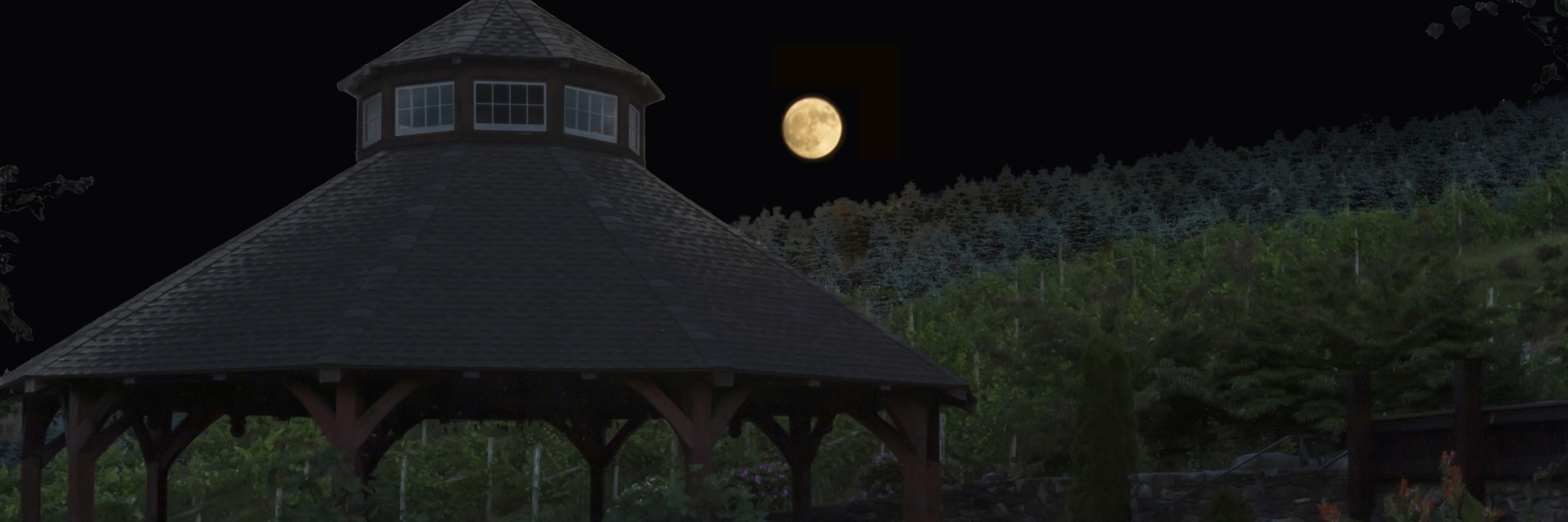Full Moon over Pavilion