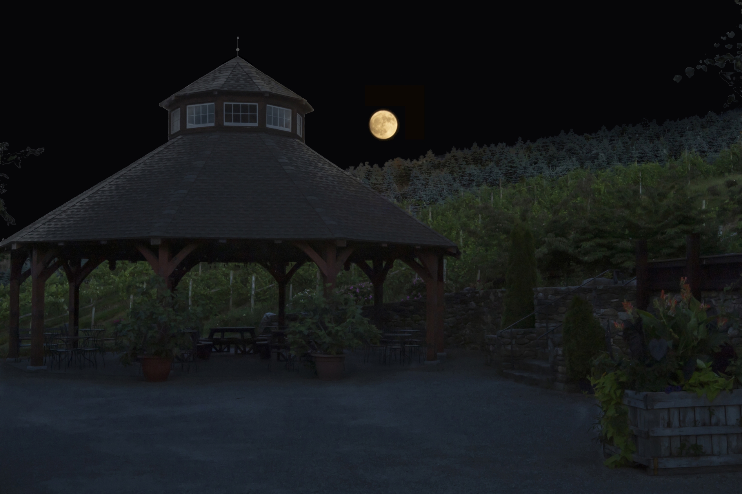 Full Moon over Pavilion