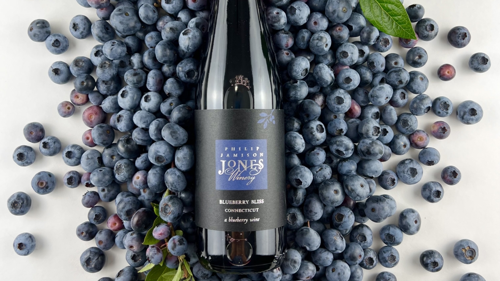 Blueberry Bliss