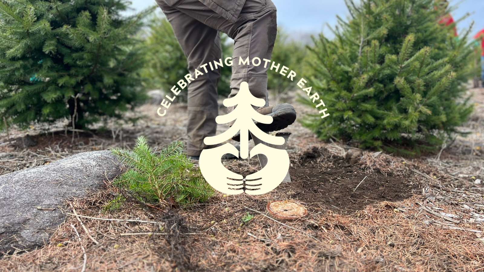 Earth Day planting a tree