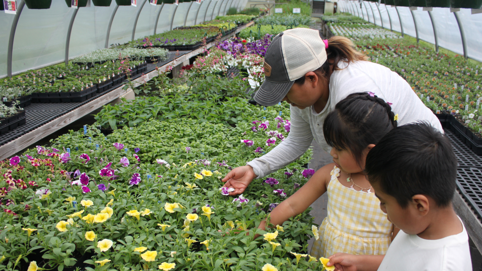 Family browsing flowers in our greenhouses 
