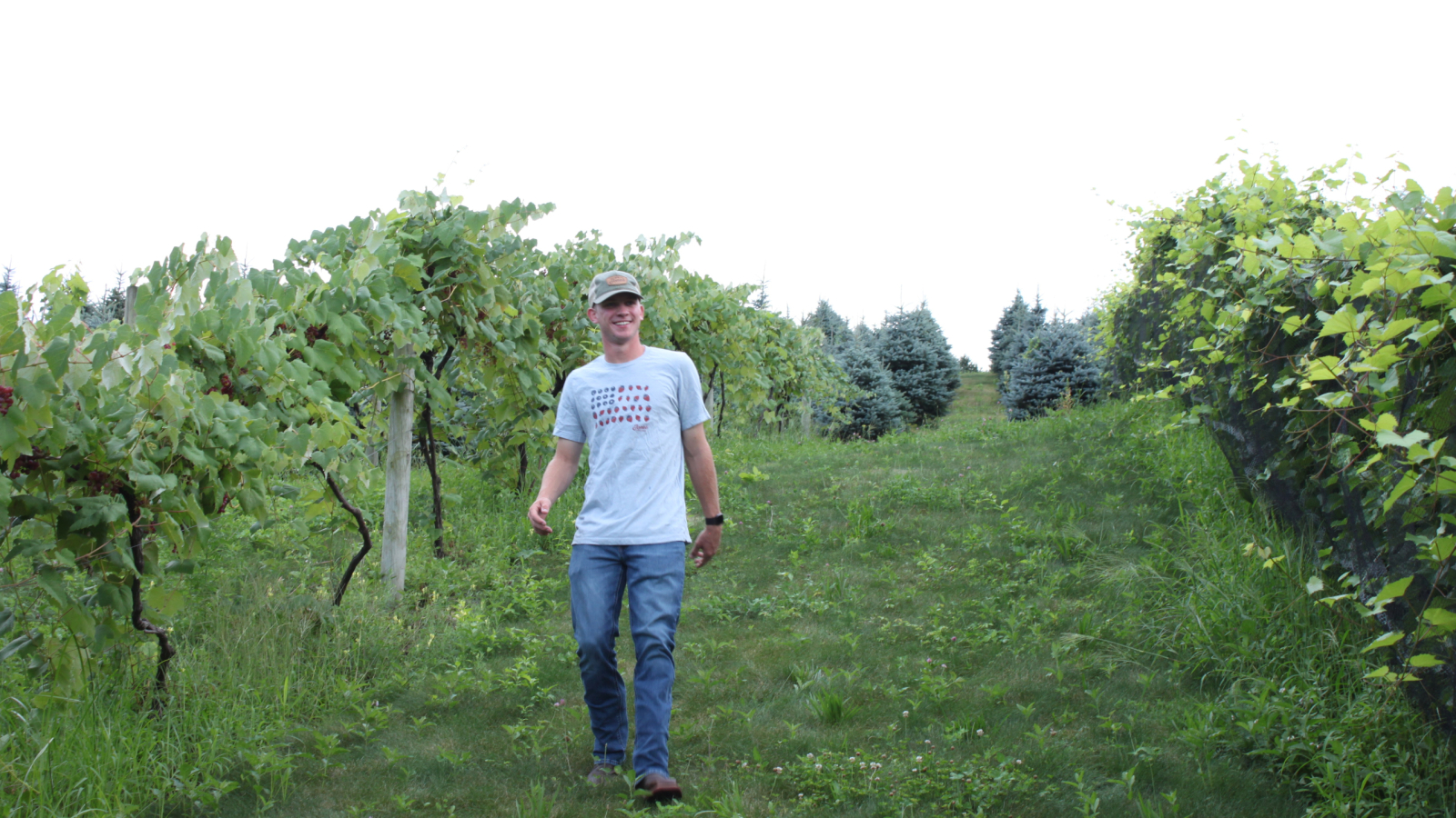 Walking in Educational Vineyard