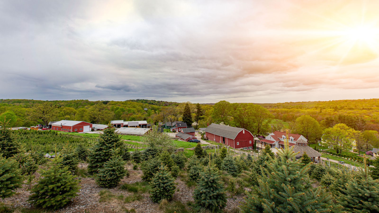 Aerial shot of the farm in early Spring