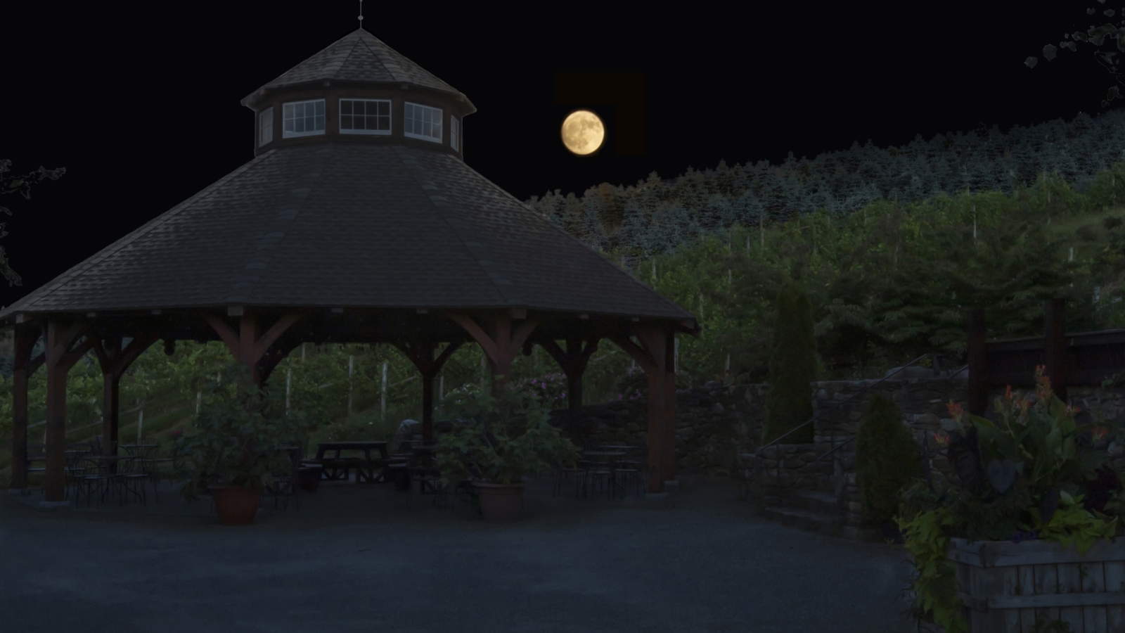Full Moon over Pavilion