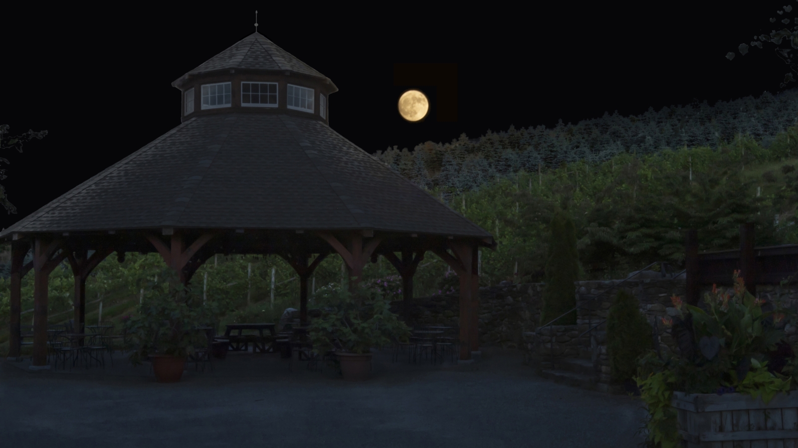 Full Moon over Pavilion