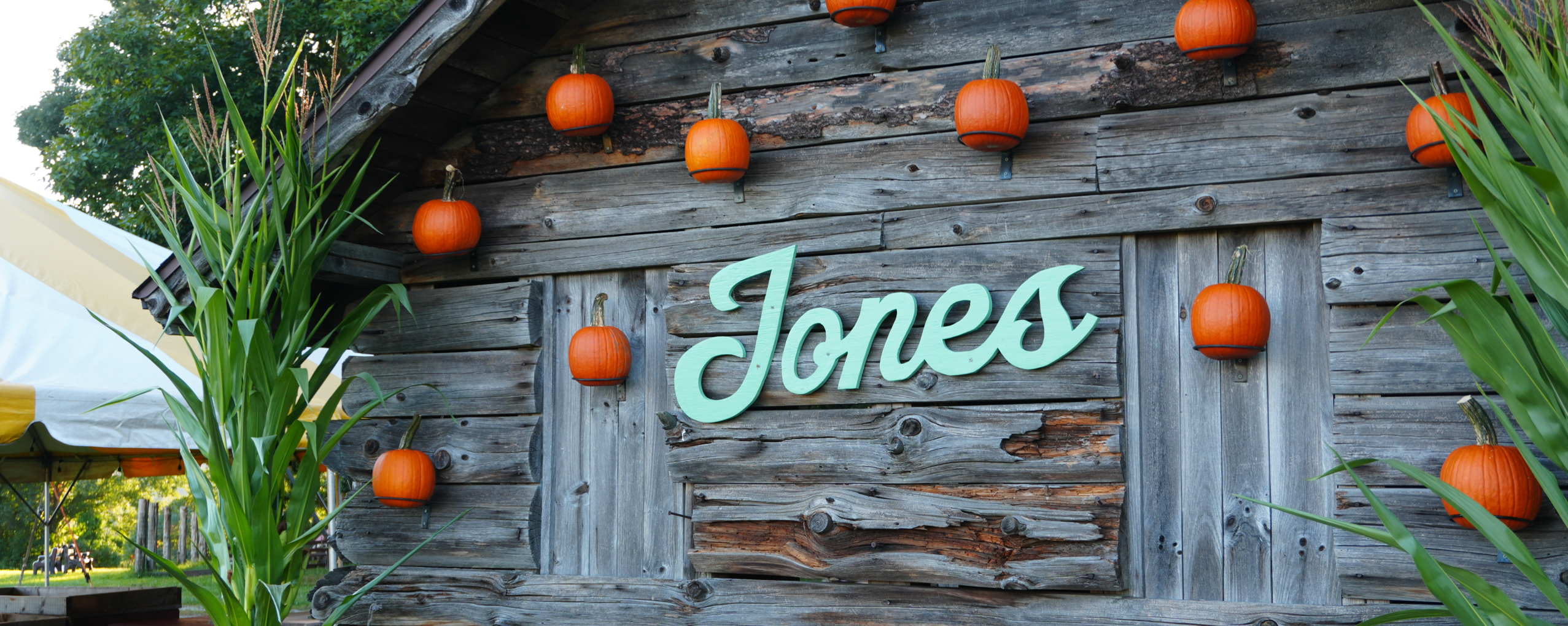 Pumpkin Wall Photo Op 