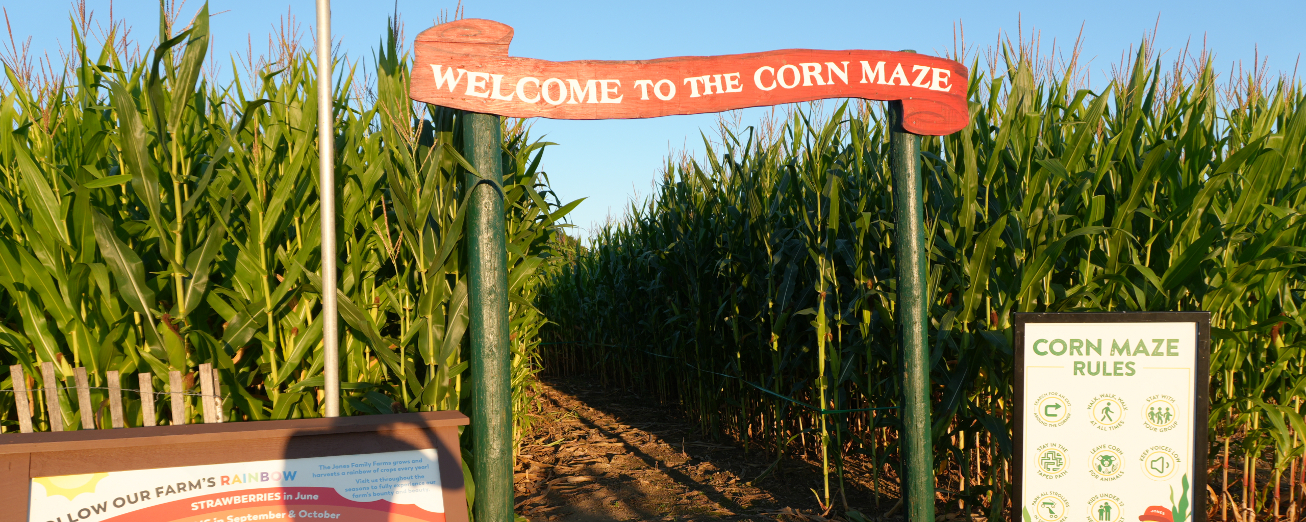 Corn Maze Entrance 