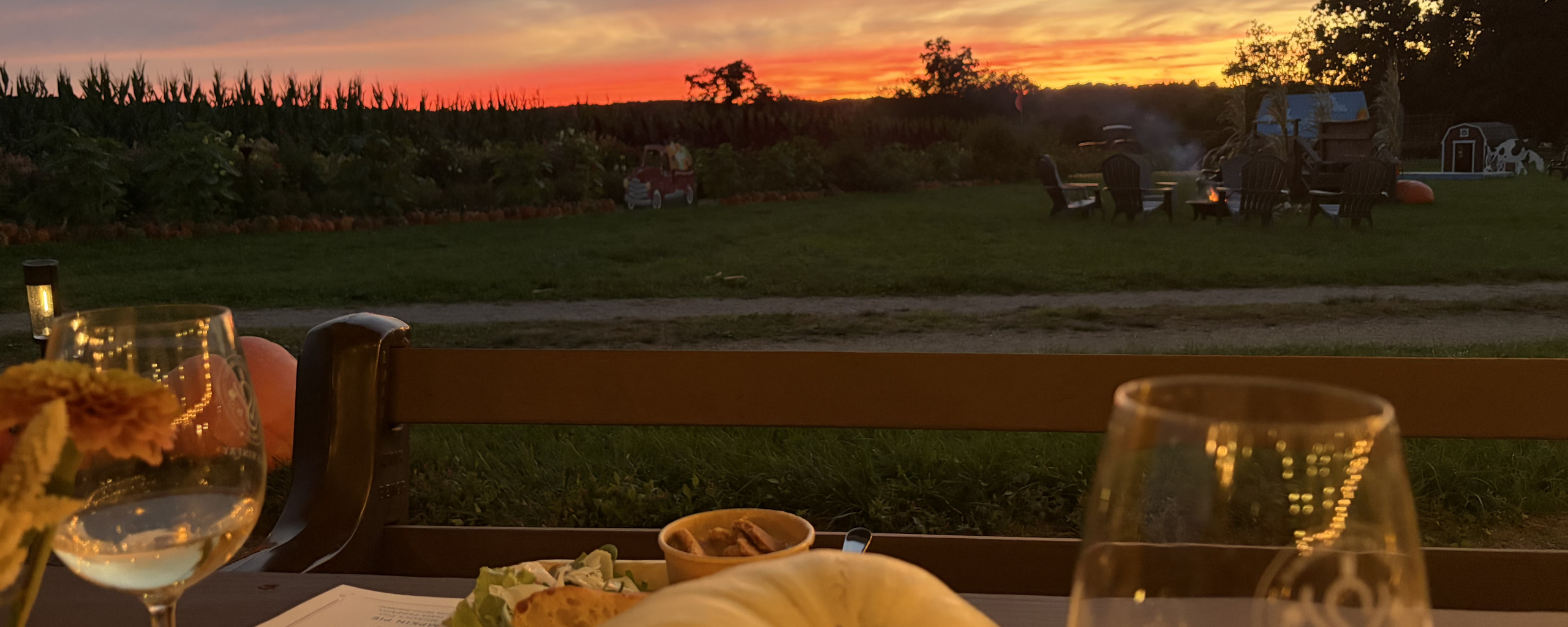 Enjoying wine at Pumpkinseed Hill