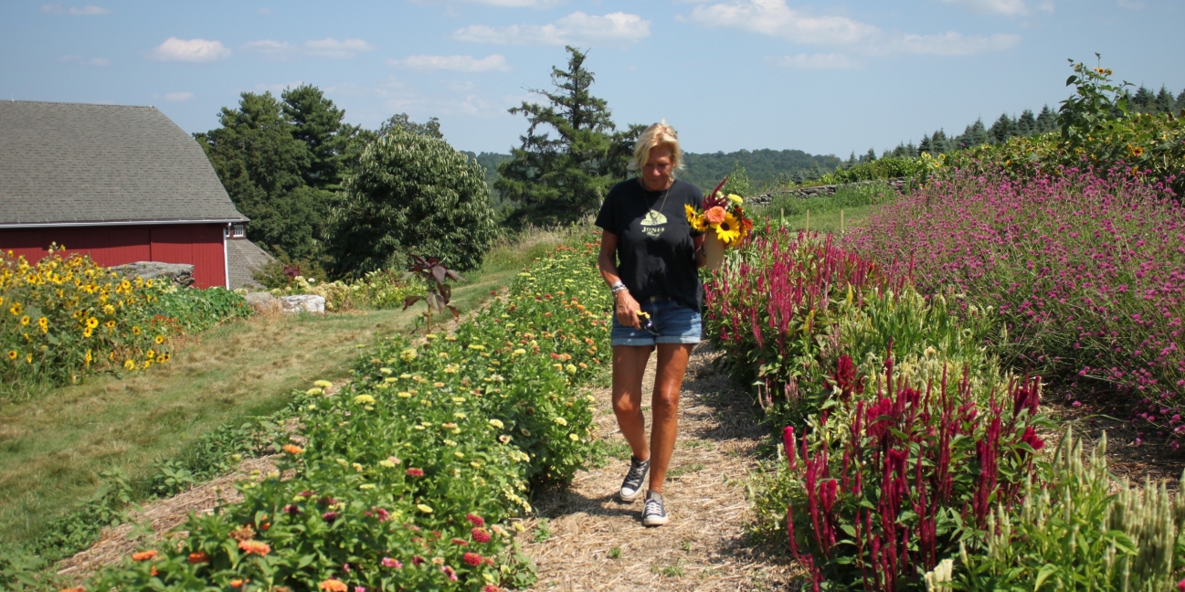 Picking flowers in the field