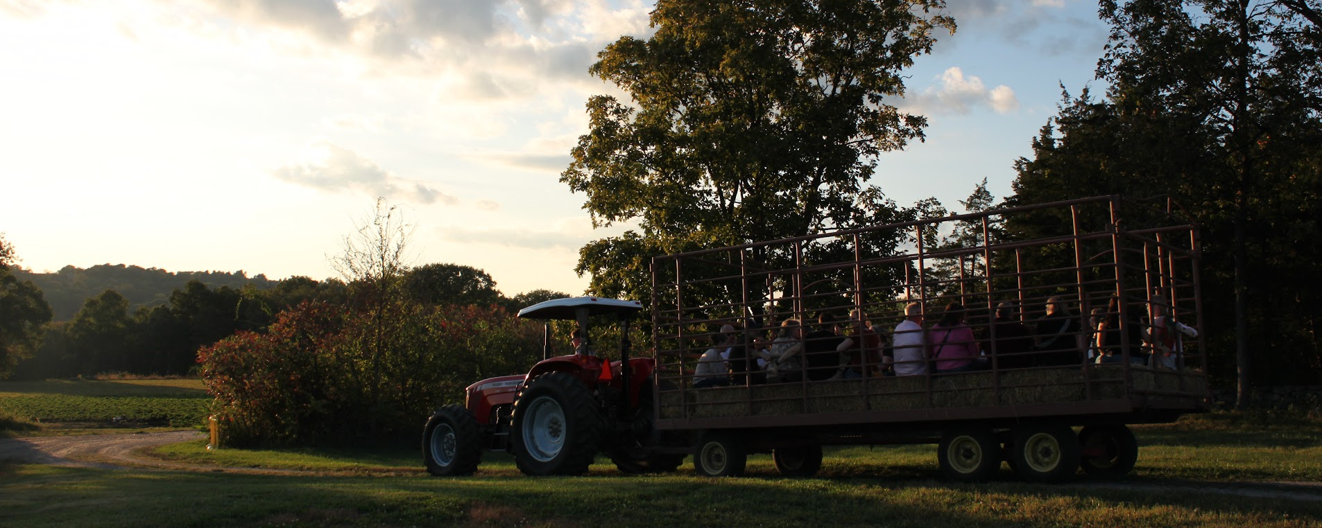Hayride at Sunset 
