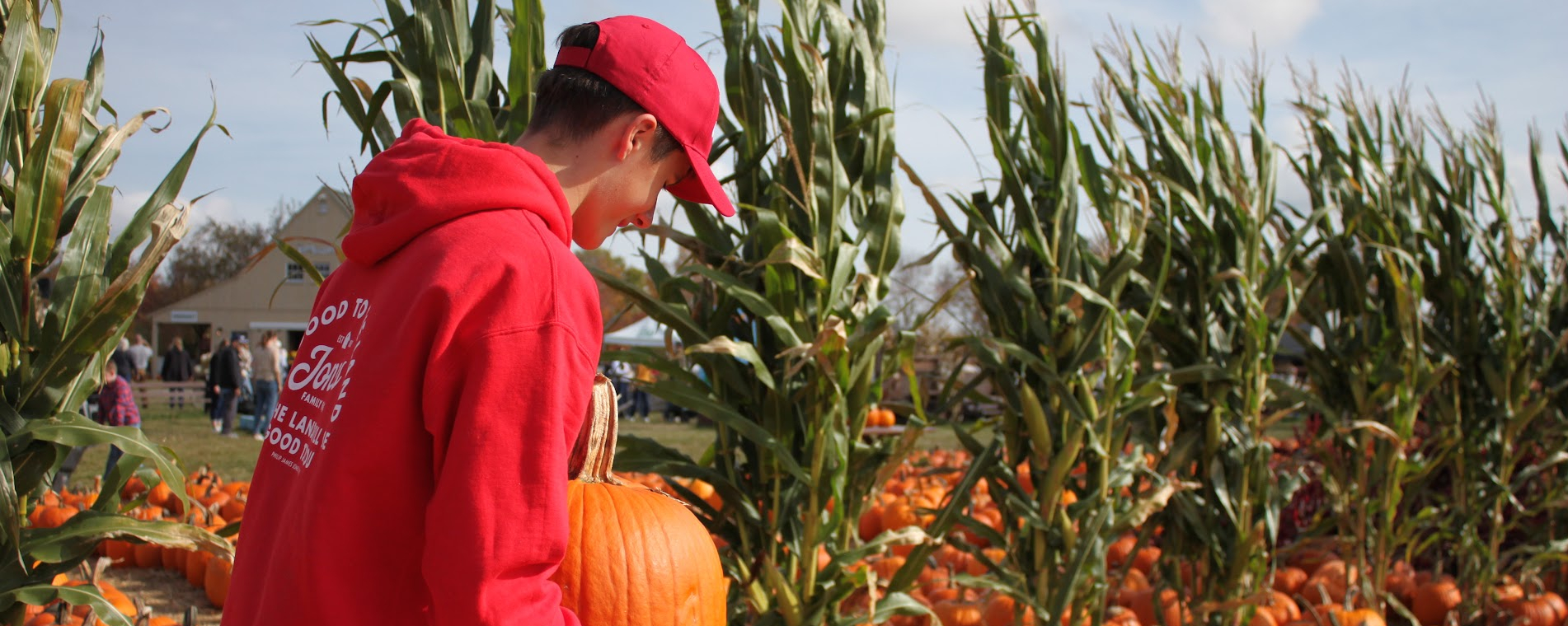Person Picking Up Pumpkin from Field 