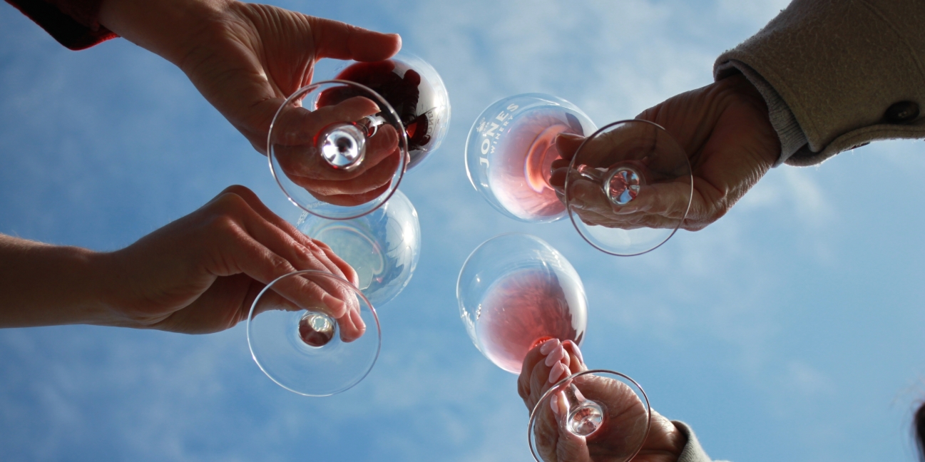 Enjoying glasses of wine on sunny day