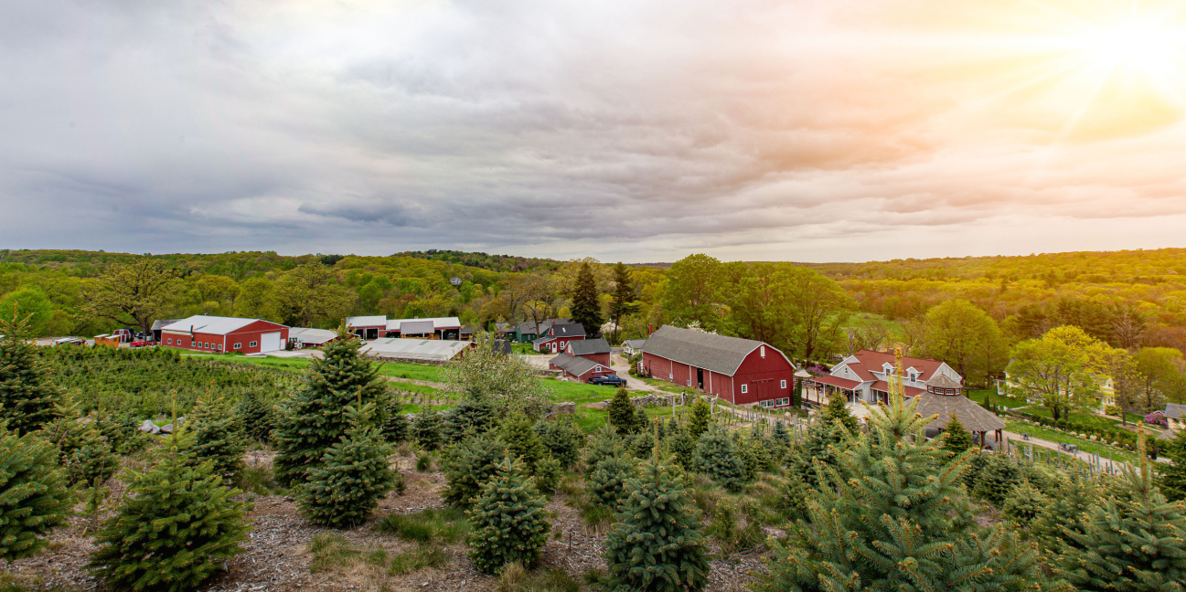 Aerial shot of the farm in early Spring