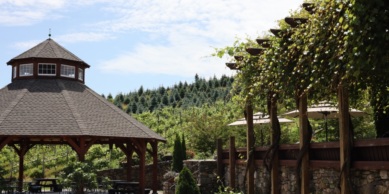 Outdoor winery seating and pavilion
