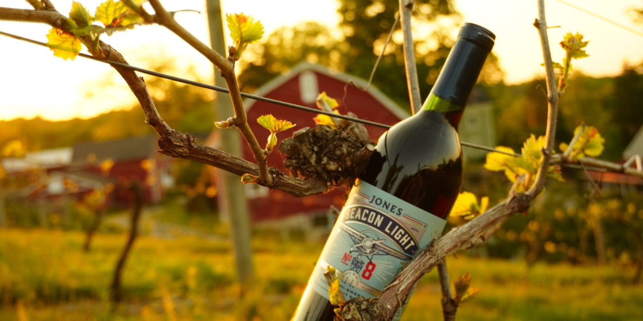 Beacon Light in Vineyard