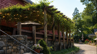 Trellis side angle