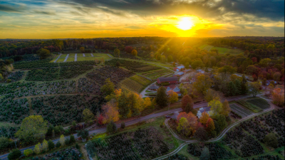 Fall drone over Jones winery at sunset