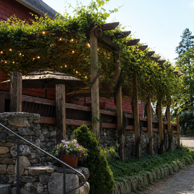 Trellis side angle