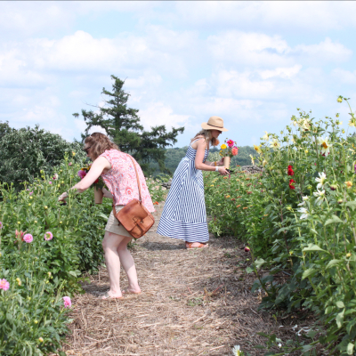 Harvesting Flowers in the Field