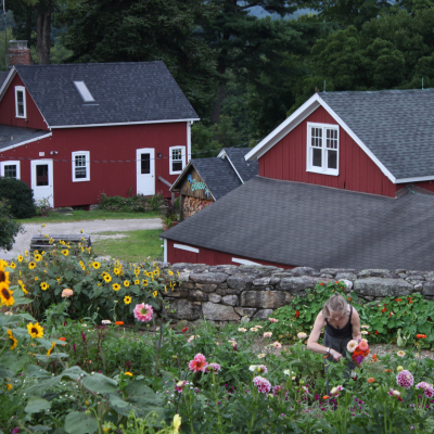 Flower Field Overlooking Homestead