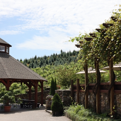 Outdoor winery seating and pavilion