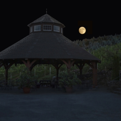 Full Moon over Pavilion